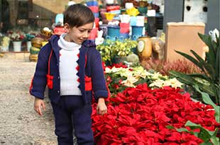 نمایشگاه گل و گیاه در تبریز