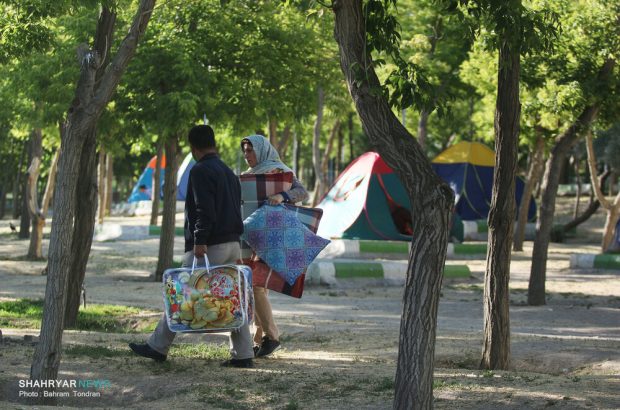 تعطیلات تابستانی در سایه‌سار درختان تبریز