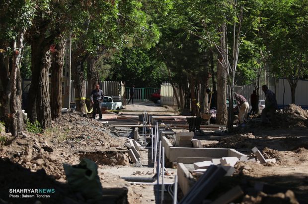 گزارش شهریار از آخرین وضعیت باغ صفاری تبریز؛ «باغ صفاری»؛ همتی دوباره برای شهری که می‌خواهد باغ‌شهر بماند