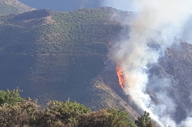 آتش سوزی دیگر در منطقه جنگلی جمهوری آذربایجان در مرز ایران