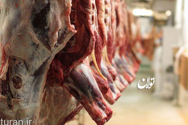 ۲۴۰ تن گوشت قرمز منجمد در آذربایجان‌شرقی توزیع می‌شود