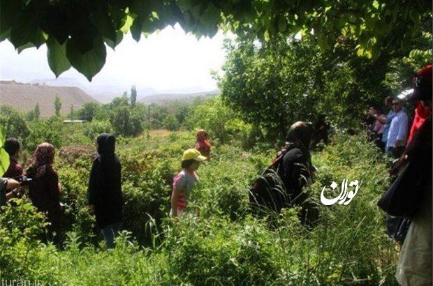 تبریز دارای ظرفیت‌های گردشگری کشاورزی شهری است