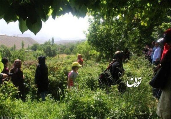 توصیه های جهادکشاورزی آذربایجان شرقی برای مقابله با خشکسالی و گرما
