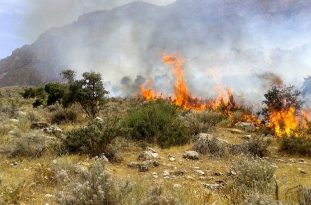 عامل آتش سوزی عمدی مراتع طبیعی میانه دستگیر شد