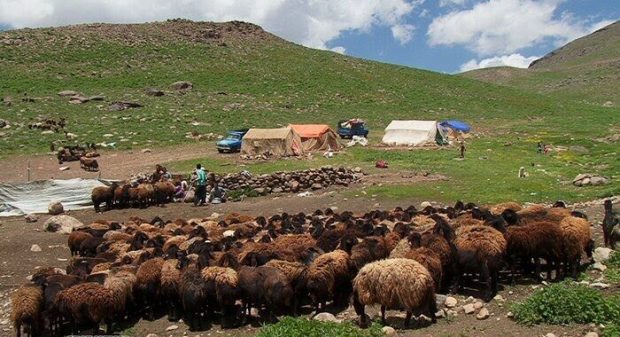 کوچ ۶۰۰ خانوار عشایری به ییلاقات سهند آغاز شد