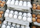 ۹.۶ درصد تخم مرغ کشور در آذربایجان شرقی تولید می‌شود 