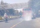 حمل و نقل عمومی تبریز مورد غفلت واقع شده است