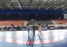 Iran freestylers bag 2 gold in Turkish tournament