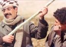 صمد، راوی زندگی کودکان صمد، راوی زندگی کودکان