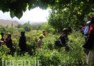 غرامت کشاورزان خسارت دیده آذربایجان شرقی تا ۱۰ روز آینده پرداخت می‌شود