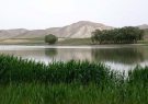 تالابهای آذربایجانشرقی در وضعیت آبی خوبی هستند تالابهای آذربایجانشرقی در وضعیت آبی خوبی هستند