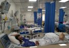 تعبیه دریچه میترال بدون عمل جراحی در تبریز