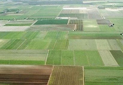 ۹۵درصد اراضی کشاورزی آذربایجان شرقی رفع تداخل شد